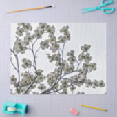 White Flowering Dogwood Tissuepapier (Craft)
