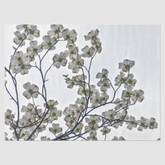 White Flowering Dogwood Tissuepapier (Voorkant)