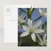 White Flowers Briefkaart (Voorkant / Achterkant)