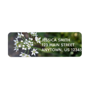 White Flowers Delicate Floral Blossom Natuur Foto Etiket