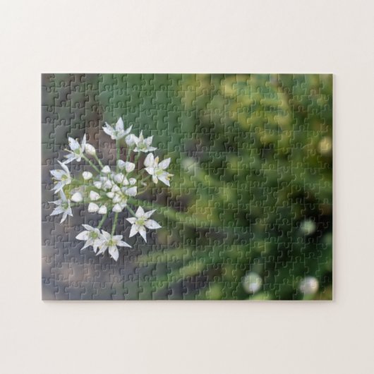 White Flowers Delicate Floral Blossom Natuur Foto Legpuzzel (Horizontaal)