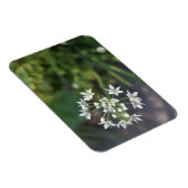 White Flowers Delicate Floral Blossom Natuur Foto Magneet (Rechterzijde)