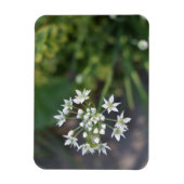 White Flowers Delicate Floral Blossom Natuur Foto Magneet (Verticaal)
