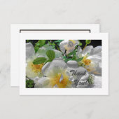White Flowers Flat Hartelijk dank Bedankkaart (Voorkant / Achterkant)