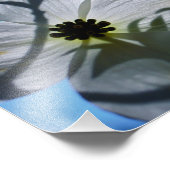 white flowers foto afdruk (Hoek)