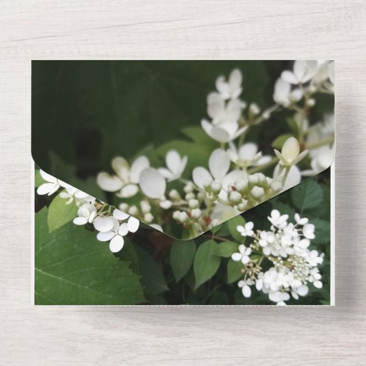 White Flowers Hydrangea Photo,  All In One Uitnodiging (Achterkant)