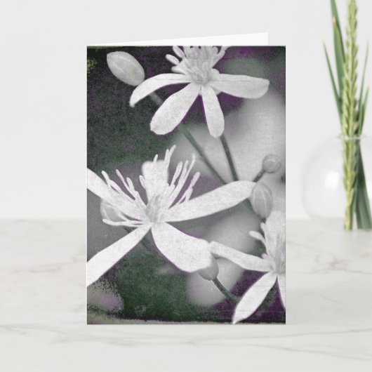 White Flowers Kaart (Voorkant)