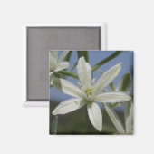 White Flowers Magnet (Voorkant / Achterkant)