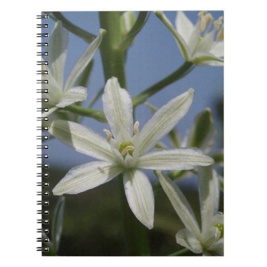 White Flowers Notitieboek (Voorkant)