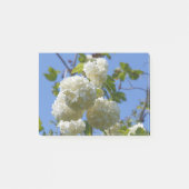 White flowers of guelder rose tree post-it® notes (Voorkant)