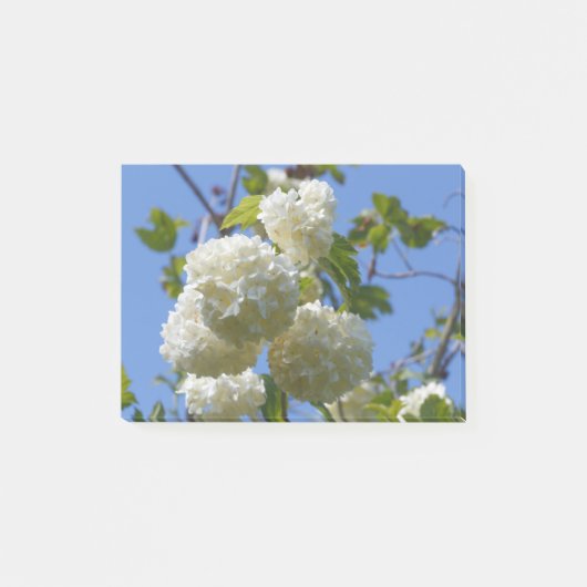 White flowers of guelder rose tree post-it® notes (Voorkant)
