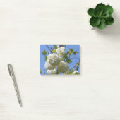 White flowers of guelder rose tree post-it® notes (Kantoor)