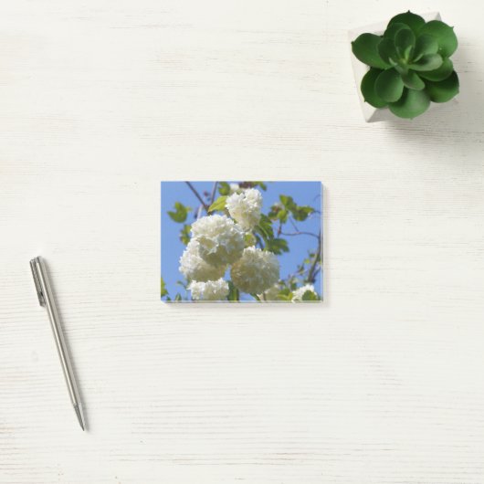 White flowers of guelder rose tree post-it® notes (Kantoor)