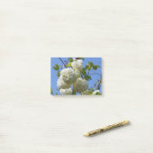 White flowers of guelder rose tree post-it® notes (Op bureau)