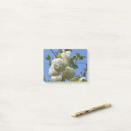 White flowers of guelder rose tree post-it® notes (Op bureau)