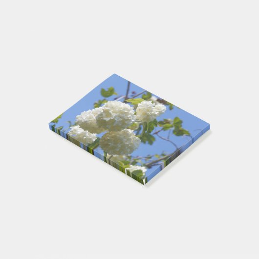 White flowers of guelder rose tree post-it® notes (Schuin)