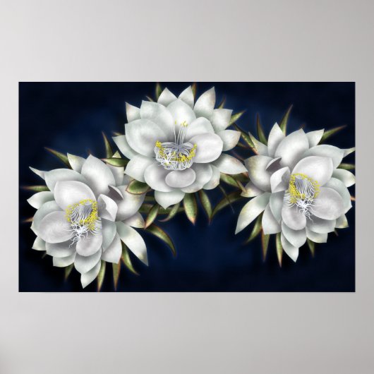 White Flowers Poster (Voorkant)