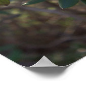 White Flowers Poster (Hoek)