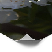 White Flowers Poster (Hoek)