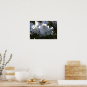 White Flowers Poster (Keuken)