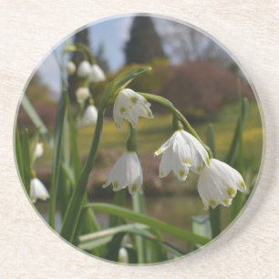 White Flowers Snowdrups w/ Landscaped Gardens Zandsteen Onderzetter