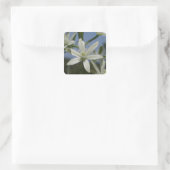 White Flowers Stickers (Tas)