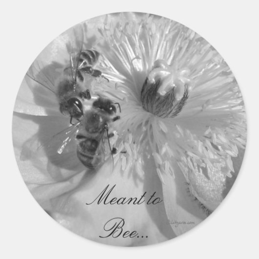 White Flowers Wedding Invitation Seals Ronde Sticker (Voorkant)
