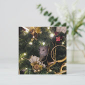 White Fluffy Cat in kerstmis Wreated Feestdagenkaart (Staand voorkant)