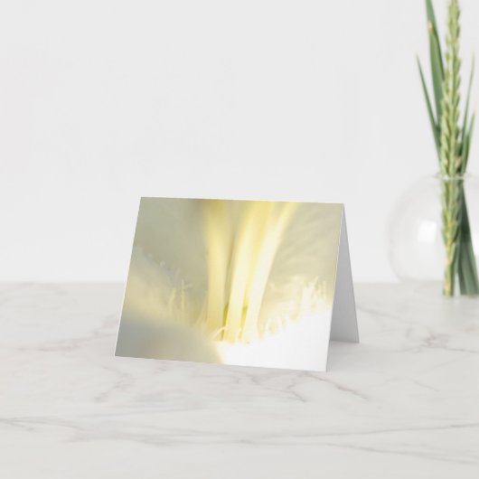 White Folded Hartelijk dank Bedankkaart (Voorkant)