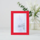 WHITE FOX BRIEFKAART (Staand voorkant)