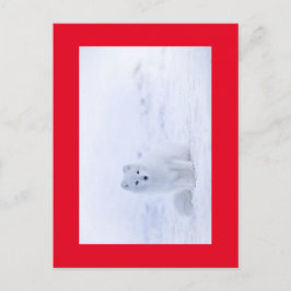 WHITE FOX BRIEFKAART