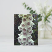 White Foxglove Briefkaart (Staand voorkant)