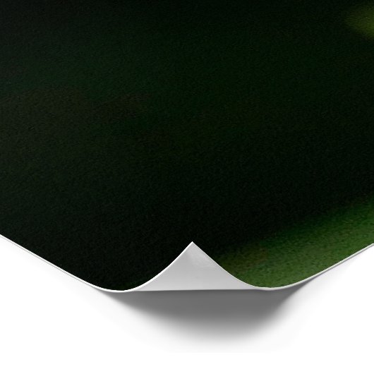 White Frangipani Canvas Print (Hoek)