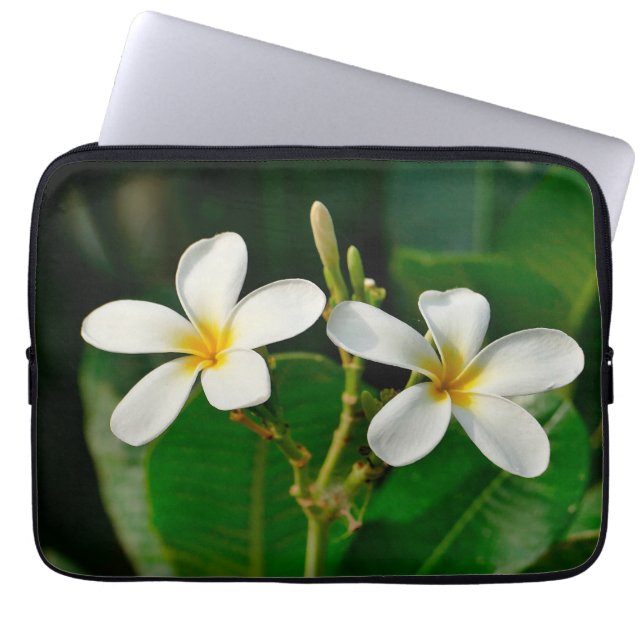 White Frangipani Canvas Print Laptop Sleeve (Voorkant)