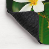 White Frangipani Muismat (Hoek)