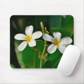 White Frangipani Muismat (Met muis)