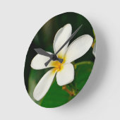 White Frangipani Ronde Klok (Hoek)
