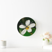 White Frangipani Ronde Klok (Huis)