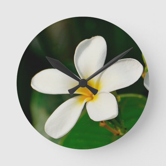 White Frangipani Ronde Klok (Voorkant)