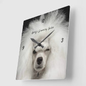 White French Poodle Pet Salon Wall Clock Vierkante Klok (Hoek)