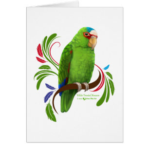 White Fronted Amazon