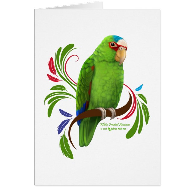 White Fronted Amazon (Voorkant)