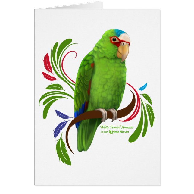 White Fronted Amazon (Voorkant)