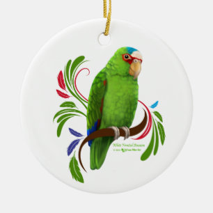 White Fronted Amazon Keramisch Ornament