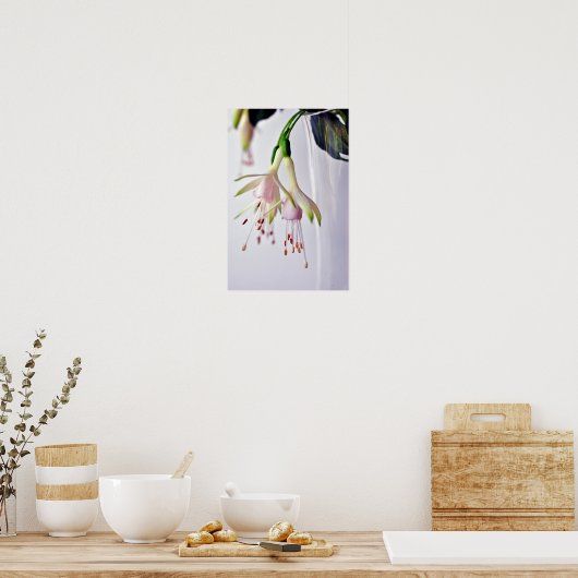 White Fuchsia Hawkshead Summer Flower Poster (Keuken)