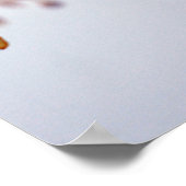 White Fuchsia Hawkshead Summer Flower Poster (Hoek)