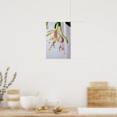 White Fuchsia Hawkshead Summer Flower Poster (Keuken)