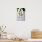 White Fuchsia Hawkshead Summer Flower Poster (Keuken)