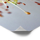 White Fuchsia Hawkshead Summer Flower Poster (Hoek)