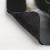 White Fuzzy Owl with Piercing Gaze Muismat (Hoek)